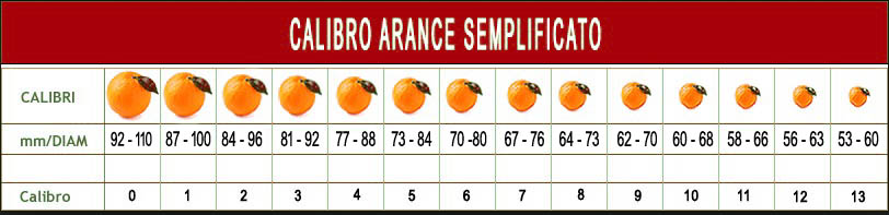 calibro-arance-spagna-qorange